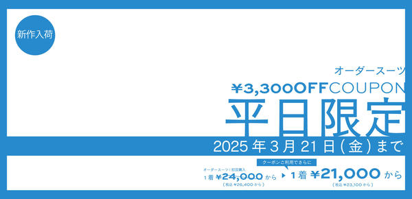 yzSXΏہb3,300~OFFN[|