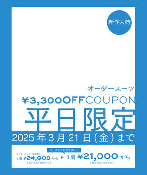 yzSXΏہb3,300~OFFN[|